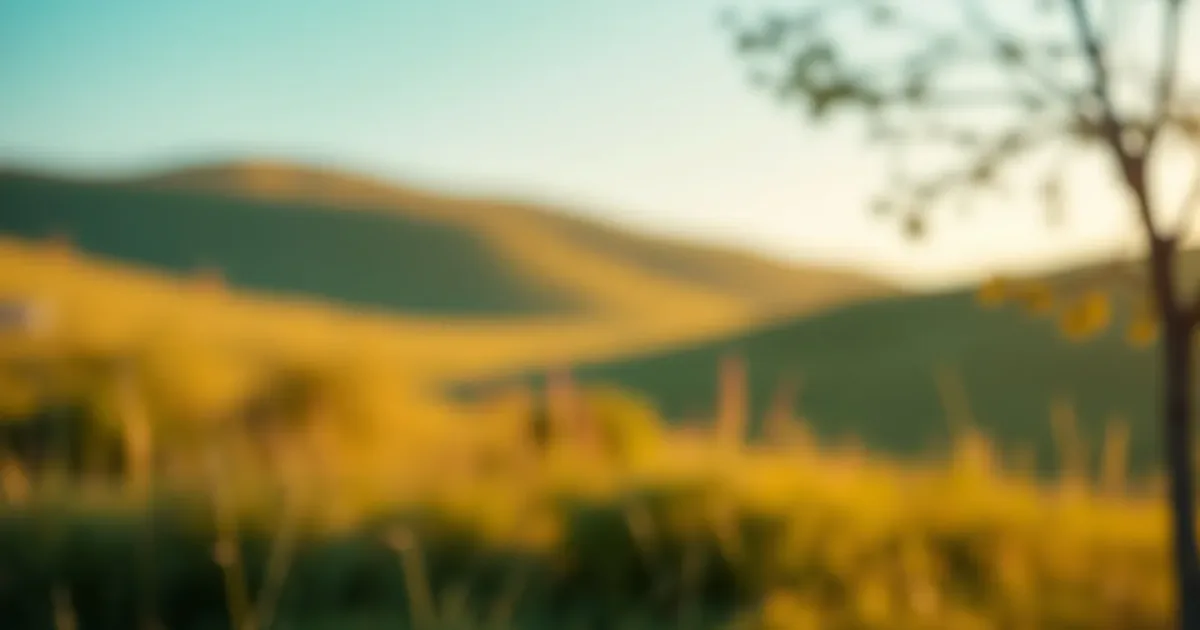 Windows 11 : forcer Ethernet avant le Wi‑Fi (sans bug)