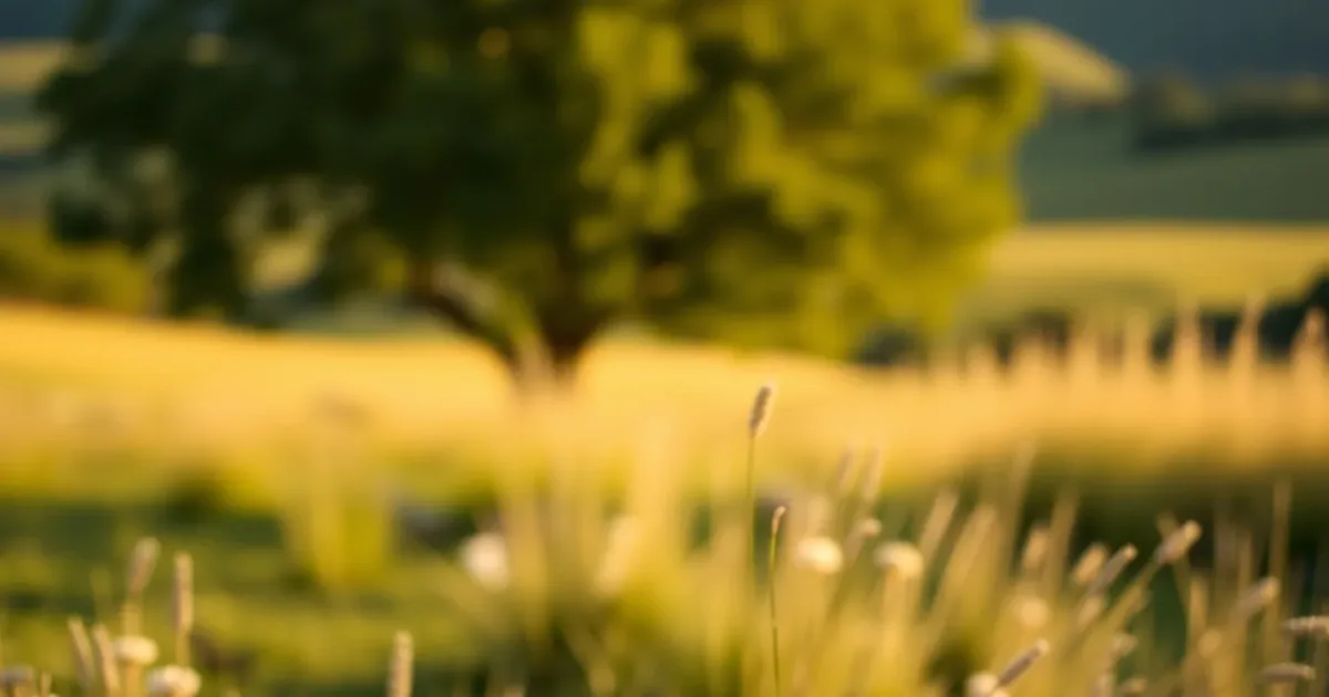 OneDrive : stopper la synchro d'un dossier sans l'effacer