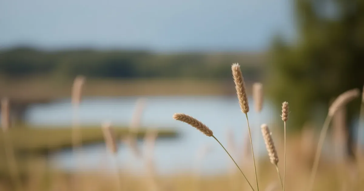 Google Photos + Lens : retrouve une photo en 2 minutes